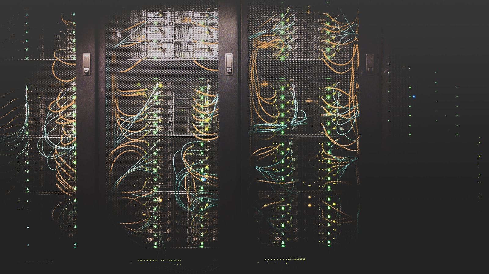 Cables de red azules organizados en un rack de servidores